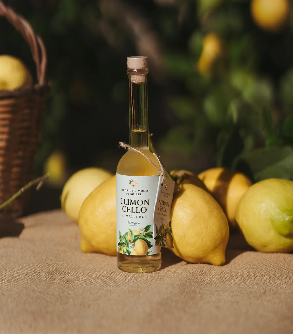 llimoncello-licordemallorca (1)